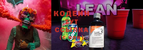 стаф Богородск
