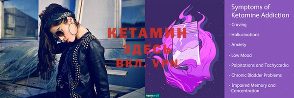 индика Бронницы