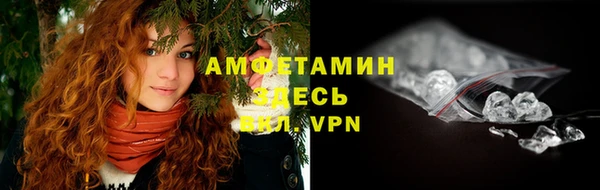 индика Бронницы