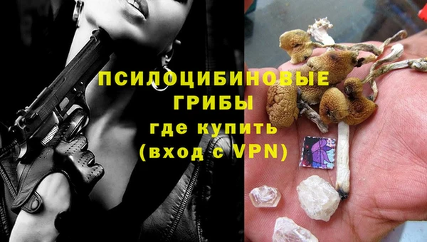 индика Бронницы