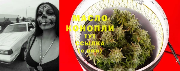 индика Бронницы