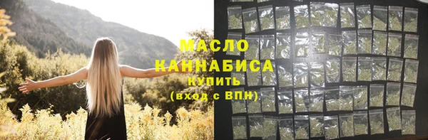 индика Бронницы