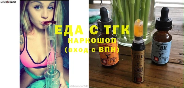 индика Бронницы