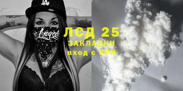 индика Бронницы