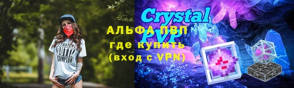трава Бородино