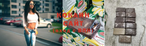 трава Бородино
